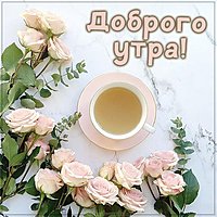 Бесплатная красивая открытка со словами доброго утра