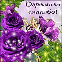Бесплатная красивая открытка со словами спасибо огромное