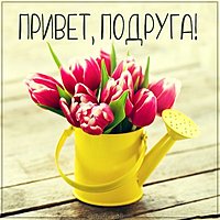 Бесплатная открытка привет подруга