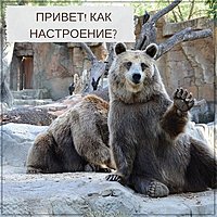 Бесплатная открытка привет