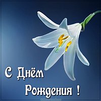 Бесплатная открытка с днем рождения с цветами