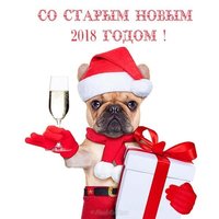 Бесплатная открытка со старым новым годом собаки