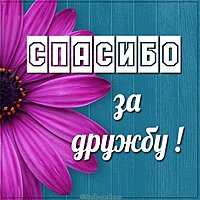 Бесплатная открытка спасибо за дружбу