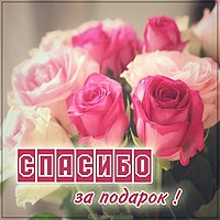 Бесплатная открытка спасибо за подарок