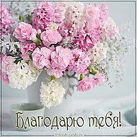 Бесплатная виртуальная картинка благодарю тебя