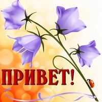 Божья коровка на колокольчике 