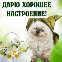 Дарю хорошее настроение