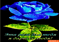 Дарю розу любя