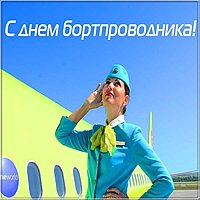 День бортпроводника 12 июля картинка