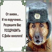 День кинолога картинка прикольная