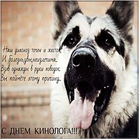 День кинолога открытка