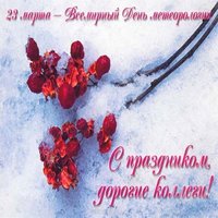 День метеоролога поздравление открытка коллегам