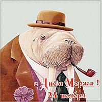 День моржа 24 ноября открытка