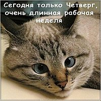 День недели четверг картинка прикольная