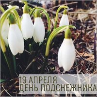 День подснежника 19 апреля картинка