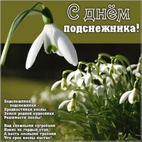 День подснежника картинка