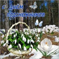 День подснежника открытка