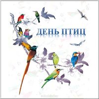 День птиц 1 апреля картинка