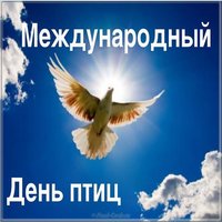 День птиц фото картинка