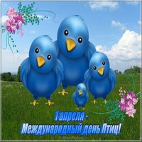 День птиц картинка для детей