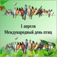 День птиц картинка