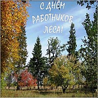 День работников леса фото картинка