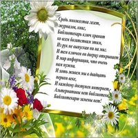 День школьного библиотекаря картинка