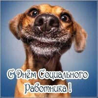 День социального работника картинка прикольная