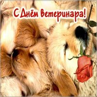 День ветеринарного врача картинка