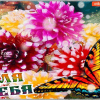 Для тебя, букет волшебных хризантем!