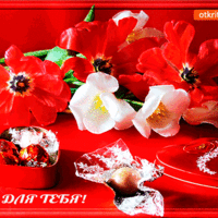 Открытка с красными цветами и конфетами для тебя