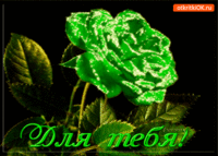 Для тебя необычная роза