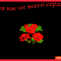 Для вас от всего сердца эти нежные розы