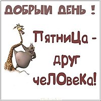 Добрый день пятница прикольная картинка