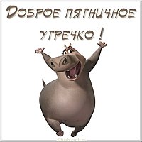 Доброе пятничное утро картинка прикольная