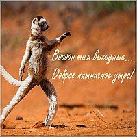 Доброе утро пятницы картинка прикольная смешная