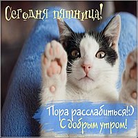 Доброе утро с пятницей картинка позитивная прикольная