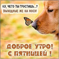 Доброе утро с пятницей картинка позитивная