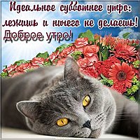 Доброе утро субботы картинка прикольная бесплатно