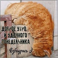 Доброе утро удачного понедельника картинка прикольная