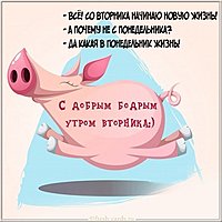 Доброе утро вторника картинка прикольная