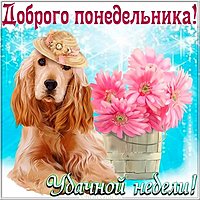 Доброго понедельника картинка прикольная смешная с надписью