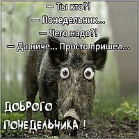 Доброго понедельника картинка прикольная смешная