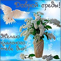 Доброй среды прикольная картинка хорошего дня