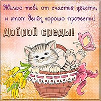 Доброй среды прикольная картинка