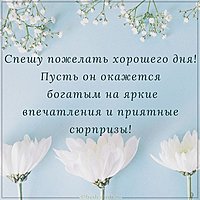 Душевная картинка хорошего дня