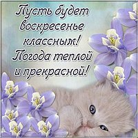 Электронная открытка с добрым воскресным днем
