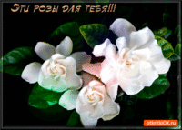 Эти белые розы для тебя