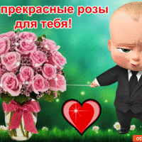 Открытка с Боссом-молокососом и розовыми розами
