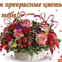 Эти прекрасные  цветы для тебя!